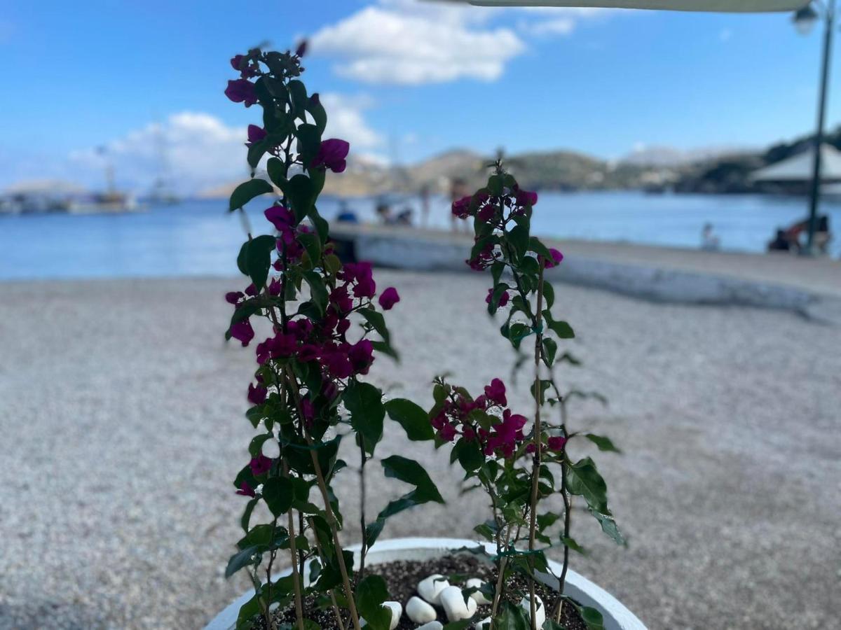 Ονειρόπετρα Λέρος~Oneiropetra Leros Leilighet Panteli Eksteriør bilde